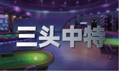 626969奥彩免费材料大全