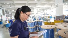 核心 突围拓展多元